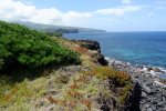 Coastline trail  west of the property gate
